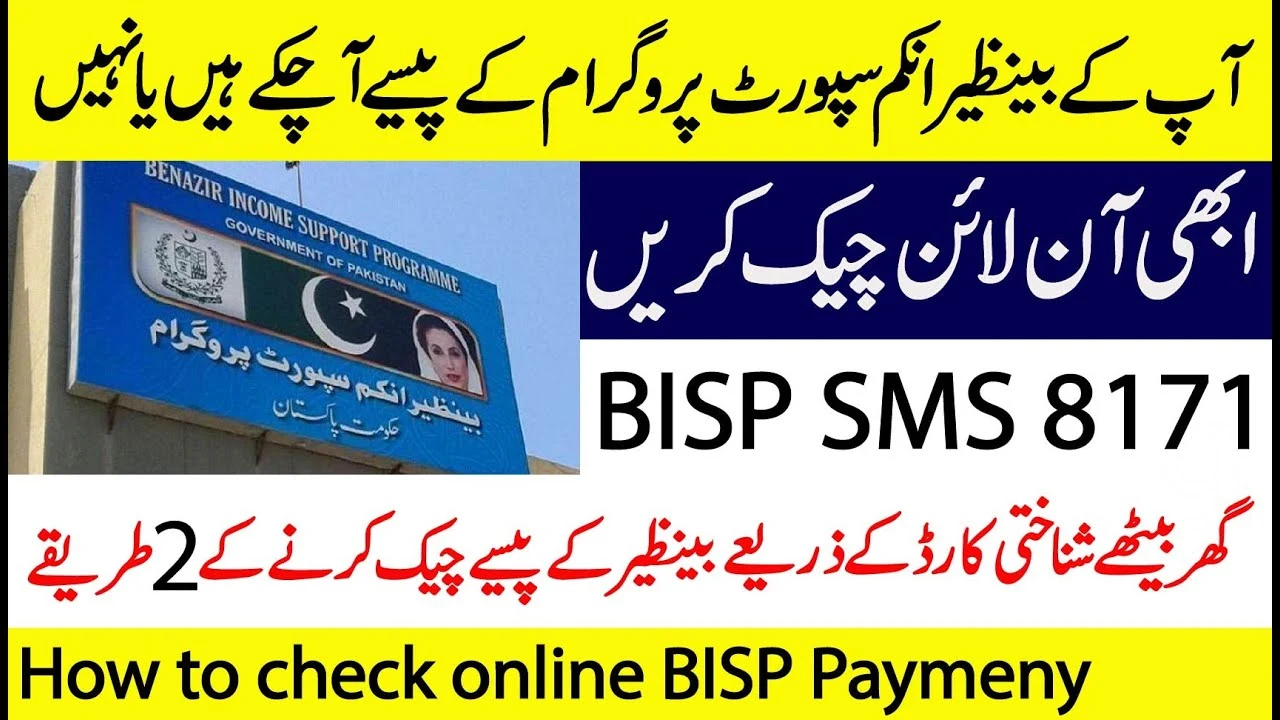 Benazir Income Support Program Online Check November 2023